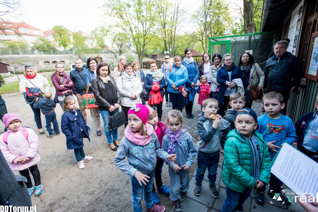 Skóra wilka i krokodyl - wystawa w zoo