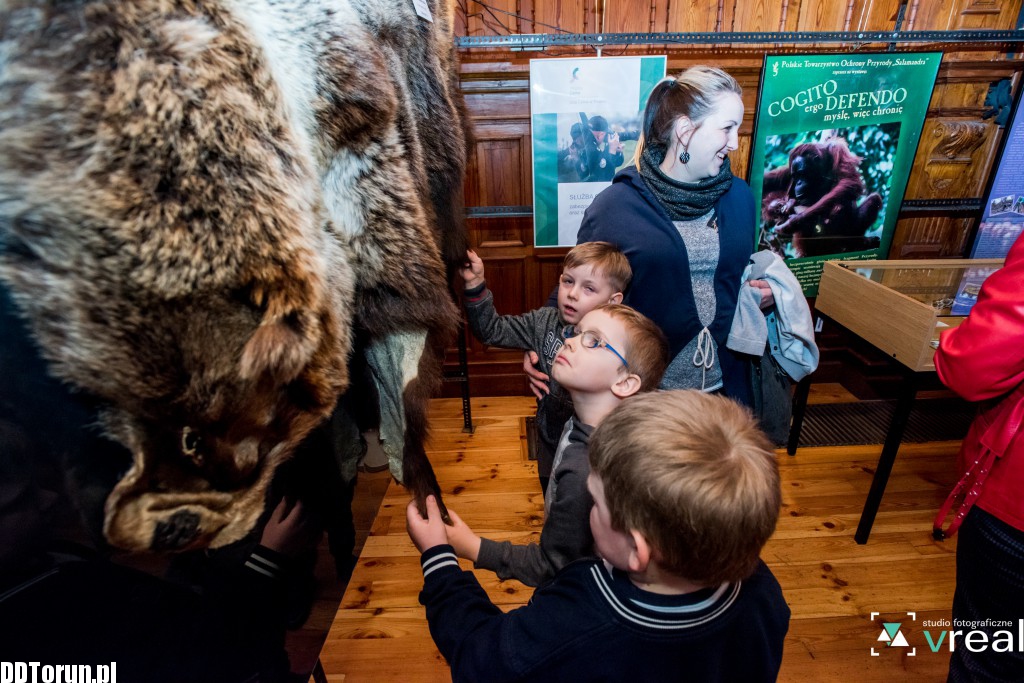 Skóra wilka i krokodyl - wystawa w zoo