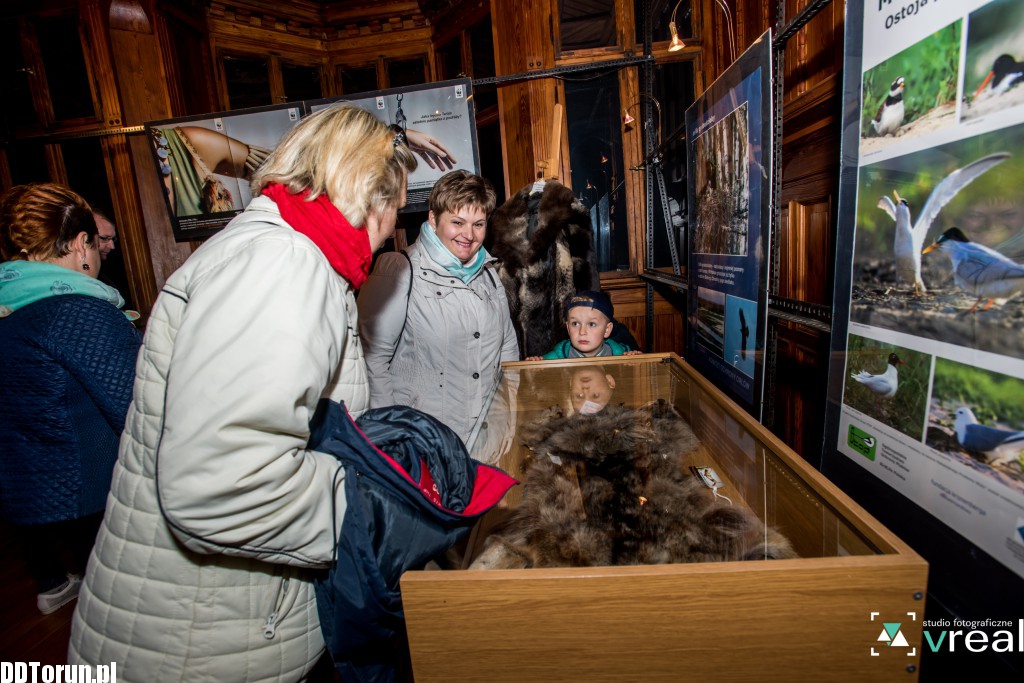 Skóra wilka i krokodyl - wystawa w zoo