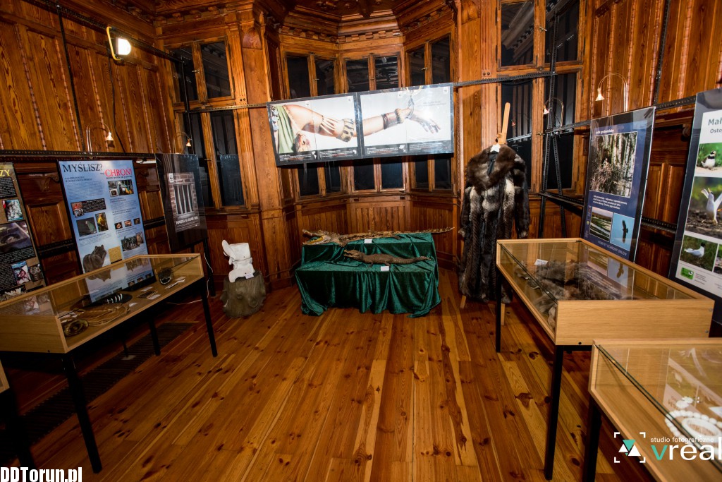 Skóra wilka i krokodyl - wystawa w zoo
