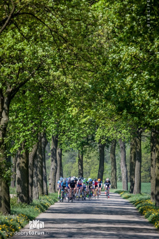 Druga edycja Velo Toruń 2016