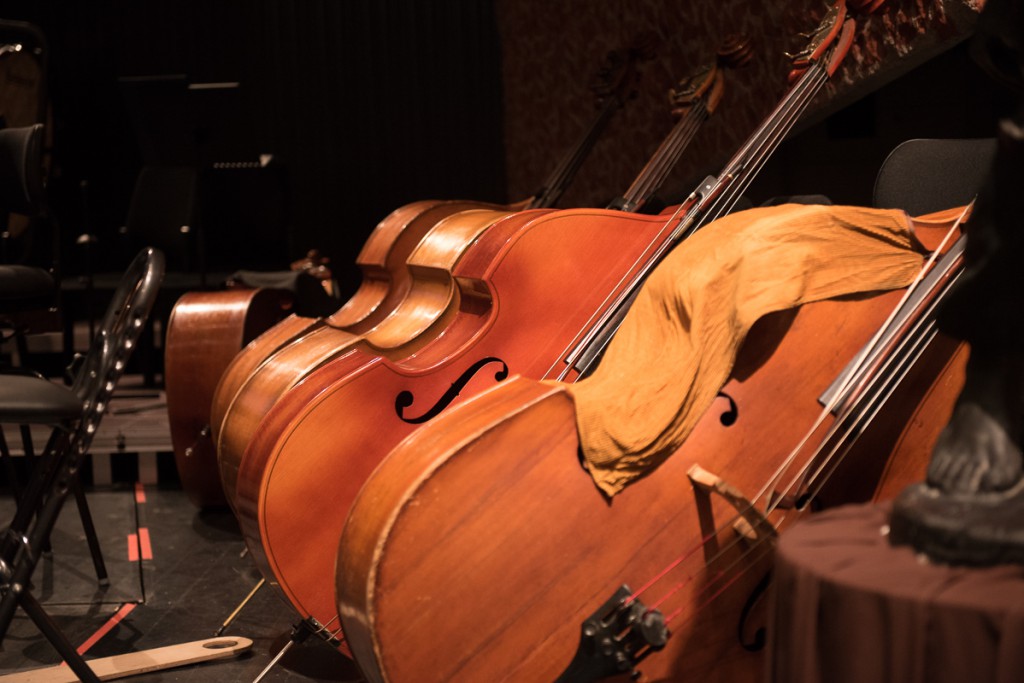 Koncert Prezydencki Probaltici