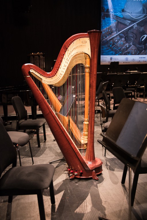 Koncert Prezydencki Probaltici