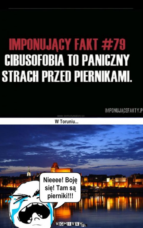Suchary z Toruniem w tle i w roli głównej