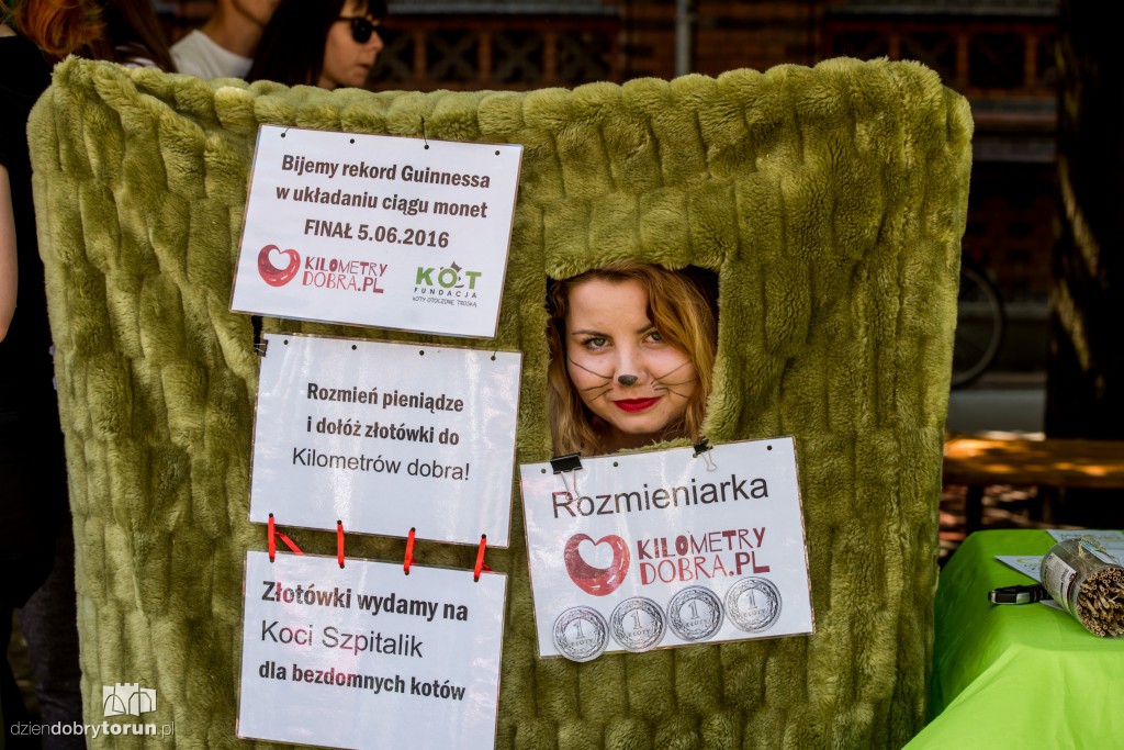 Śniadanie na trawie na Rynku