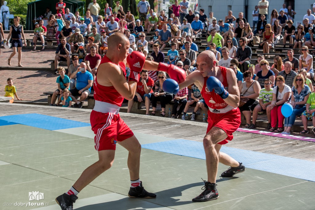XX Festiwal Sztuk Walki Budo