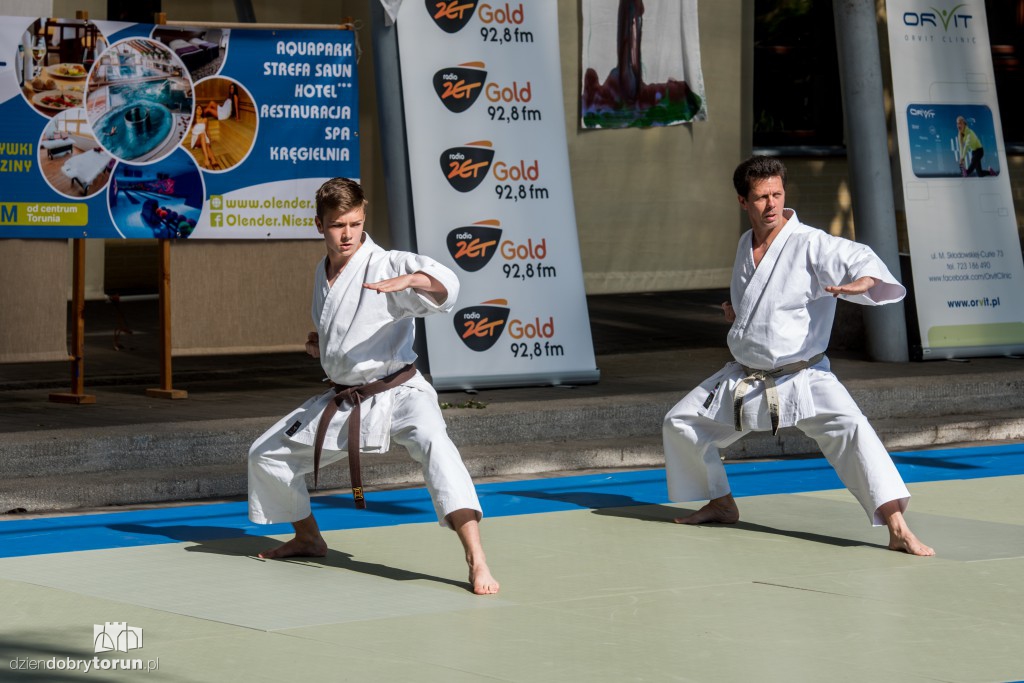 XX Festiwal Sztuk Walki Budo