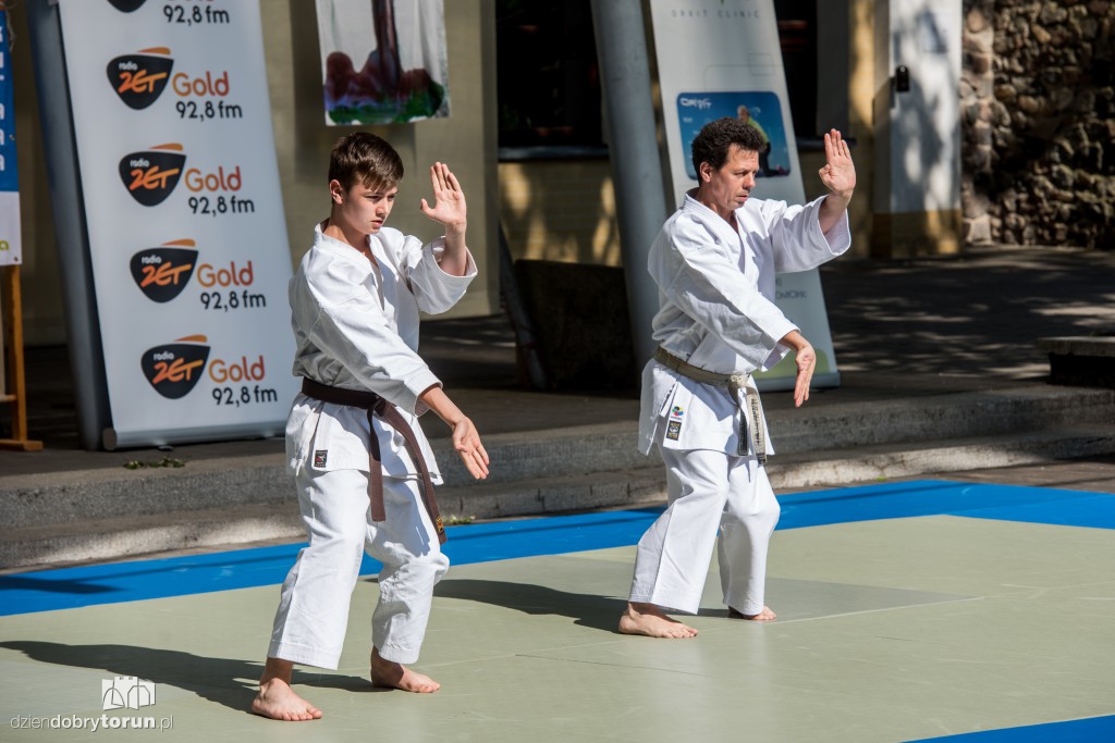 XX Festiwal Sztuk Walki Budo