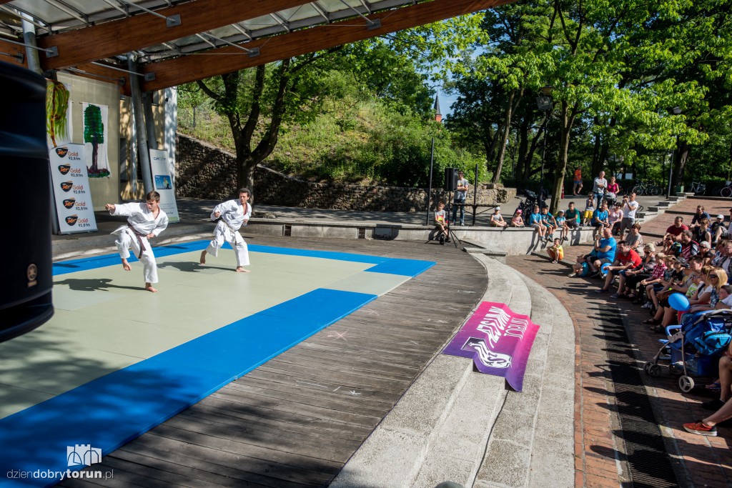 XX Festiwal Sztuk Walki Budo