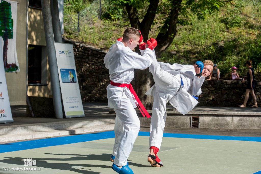 XX Festiwal Sztuk Walki Budo