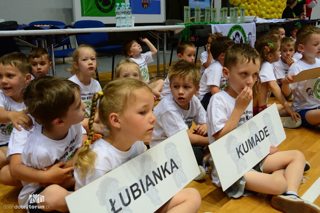 Przedszkoliada Małego Karateki w Arenie Toruń