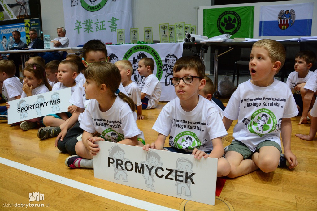 Przedszkoliada Małego Karateki w Arenie Toruń