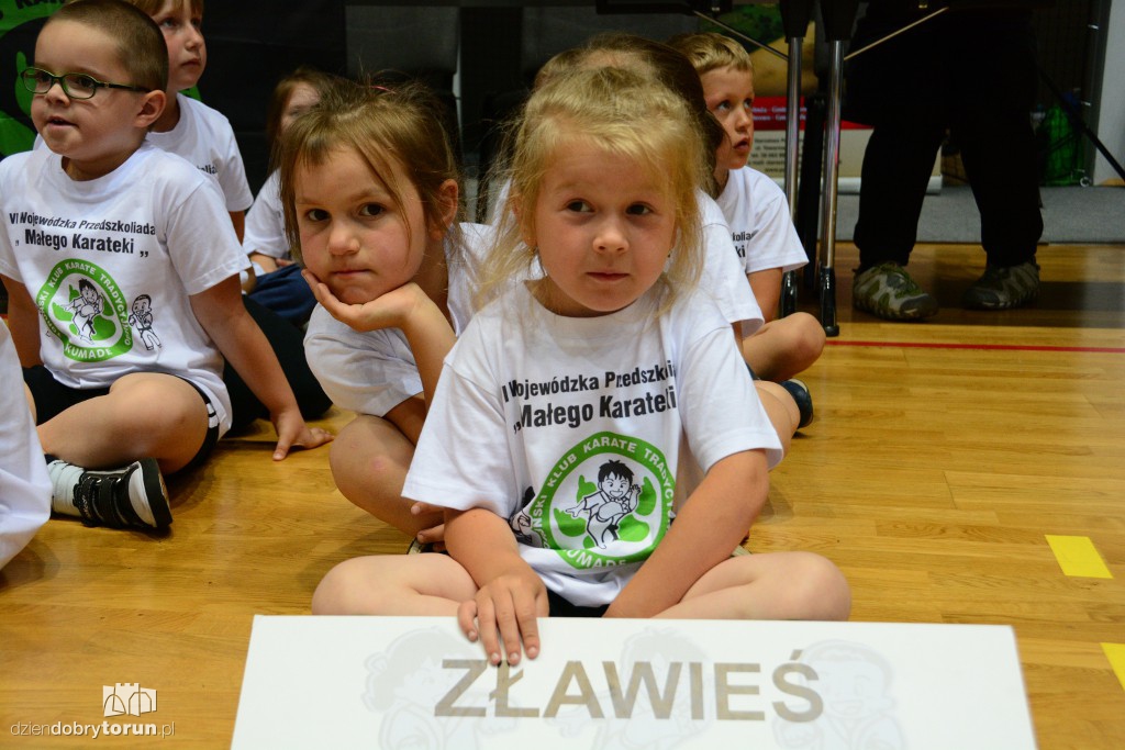 Przedszkoliada Małego Karateki w Arenie Toruń