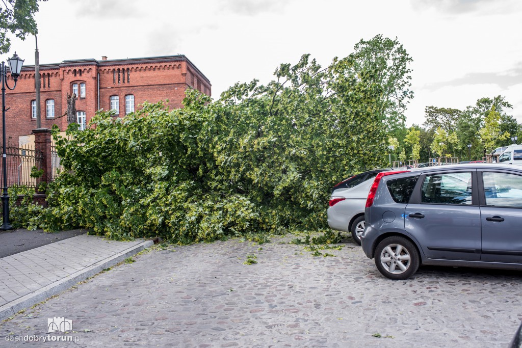 Drzewo przygniotło nastolatkę!