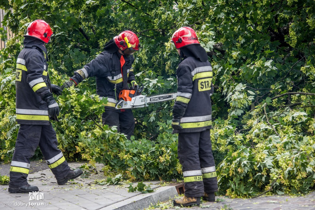 Drzewo przygniotło nastolatkę!