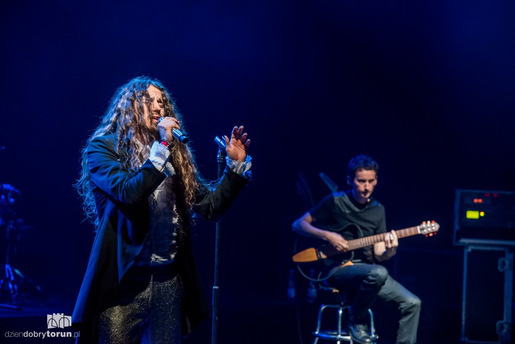 Koncert Michała Szpaka na Jordankach