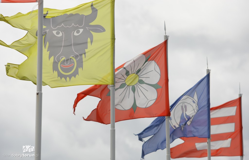 Turniej rycerski w Golubiu-Dobrzyniu