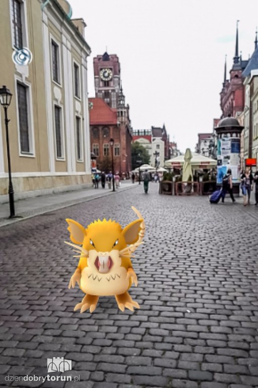 Gdzie są Pokemony w Toruniu?