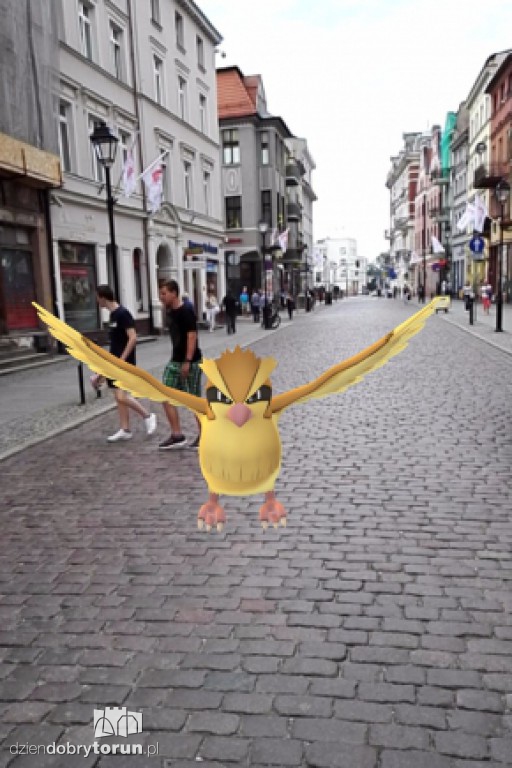 Gdzie są Pokemony w Toruniu?