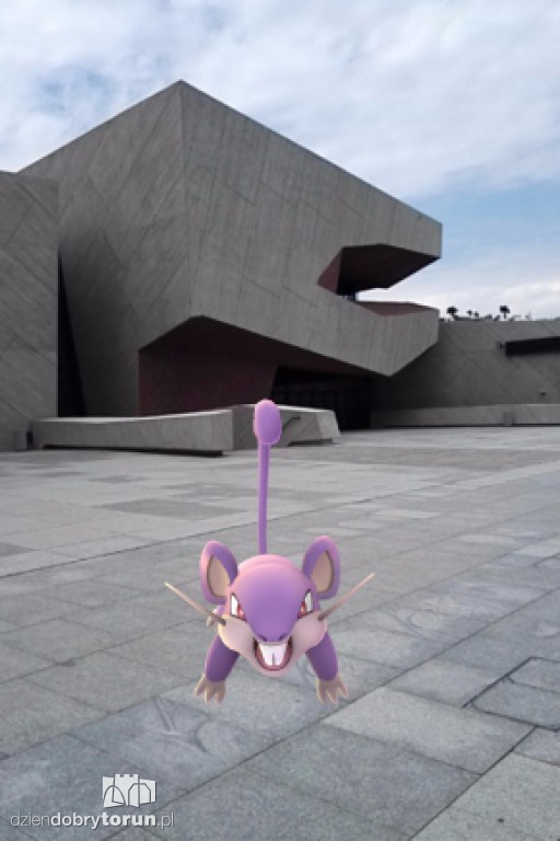 Gdzie są Pokemony w Toruniu?