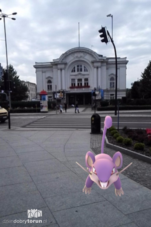 Gdzie są Pokemony w Toruniu?
