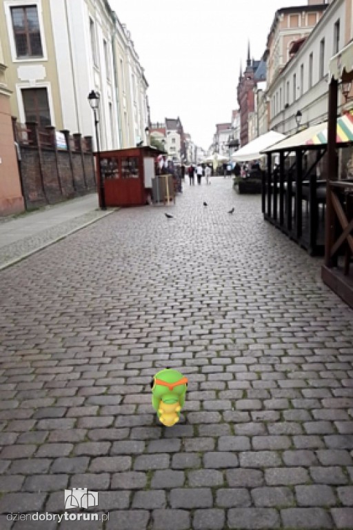 Gdzie są Pokemony w Toruniu?