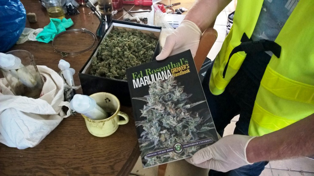 Plantacja konopi zlikwidowana!