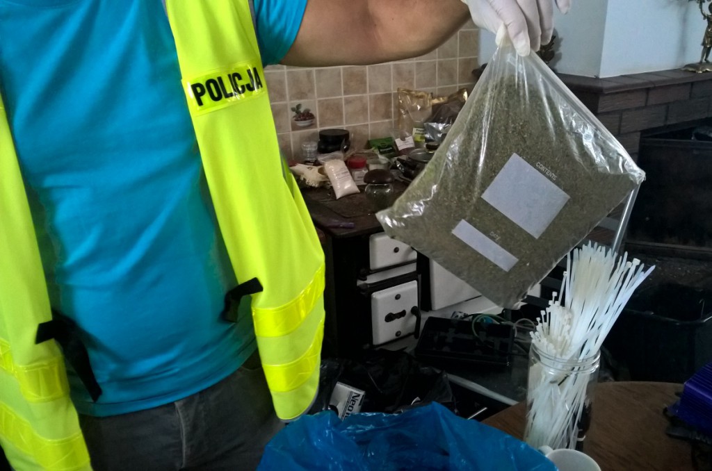 Plantacja konopi zlikwidowana!