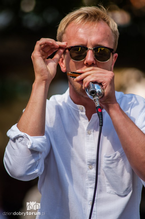 Szulerzy na festiwalu harmonijkowym