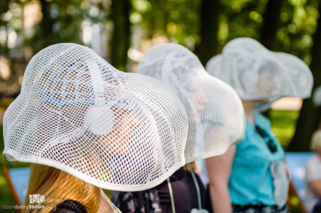 Festiwal Teatrów Ulicznych