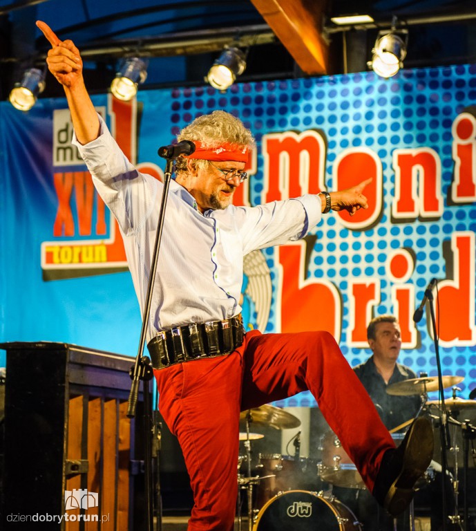 Nocna Zmiana Bluesa na festiwalu