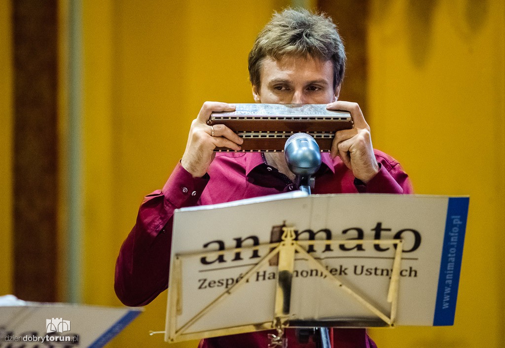 Animato na Festiwalu Harmonijki