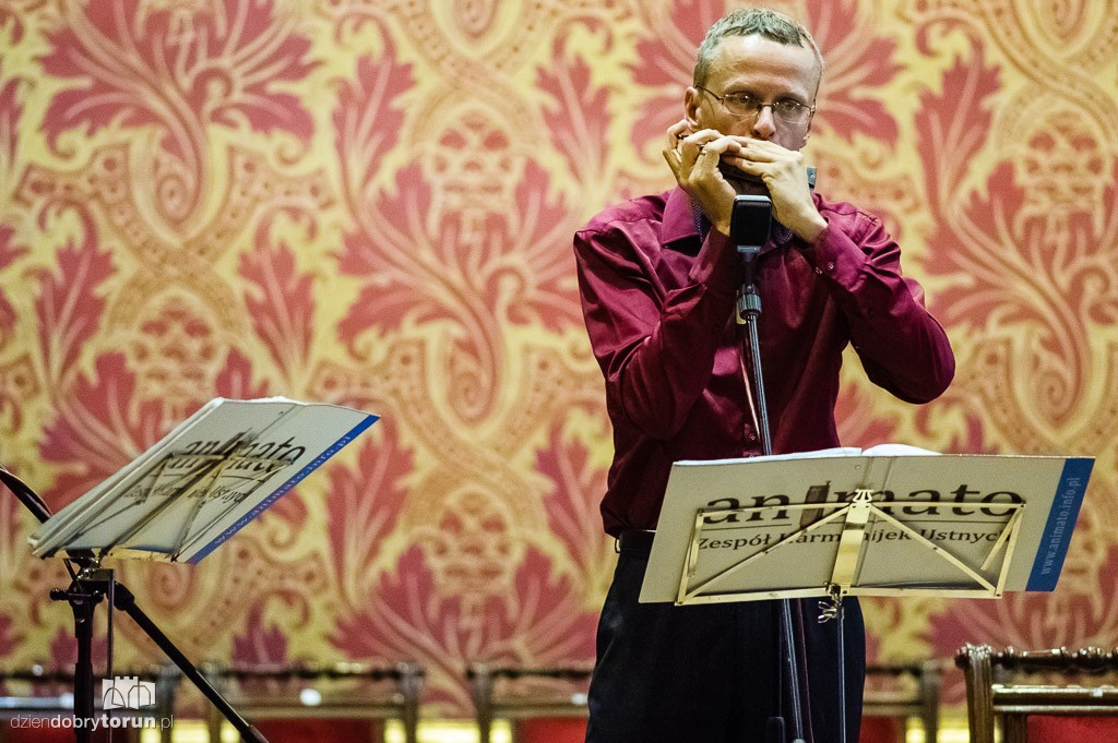 Animato na Festiwalu Harmonijki