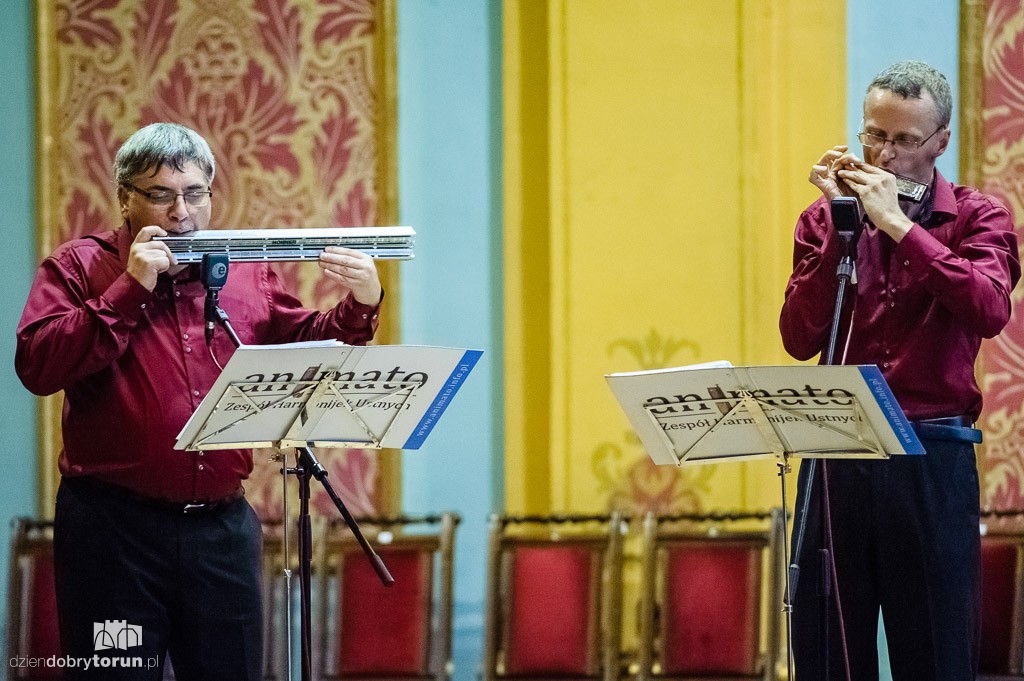 Animato na Festiwalu Harmonijki