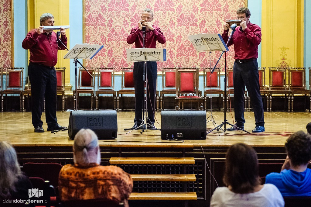 Animato na Festiwalu Harmonijki