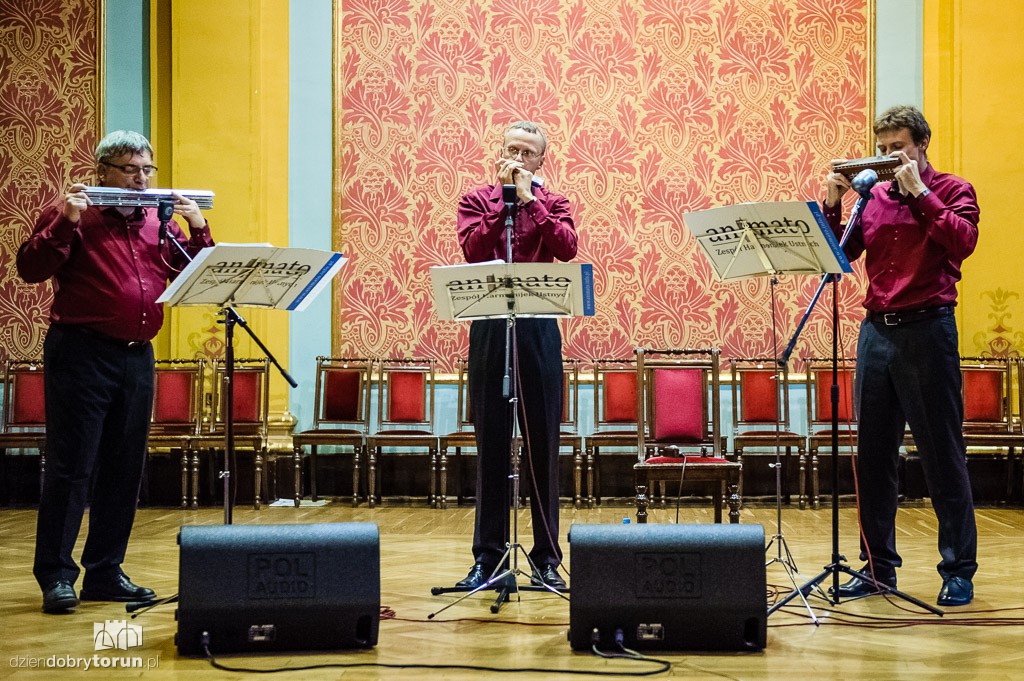 Animato na Festiwalu Harmonijki