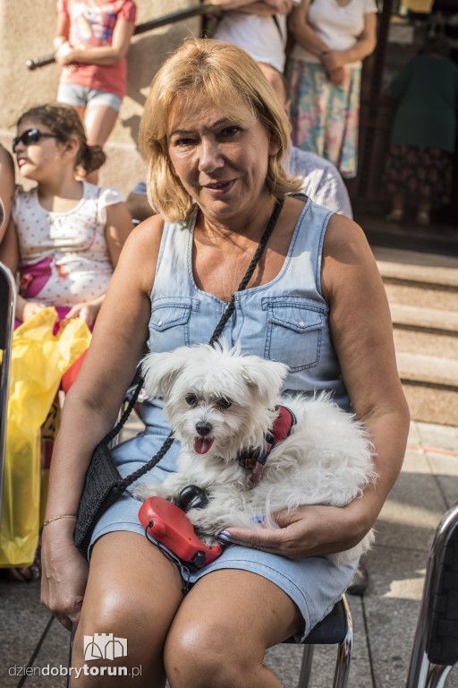Tak obchodzono święto ulicy Szerokiej