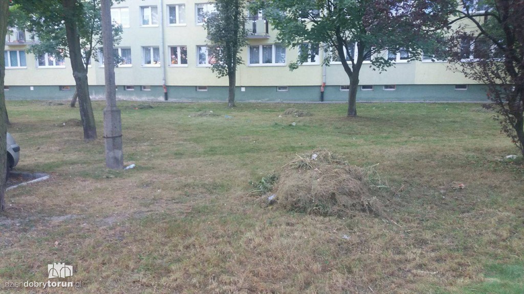 Śmieci przed blokiem. Ludzie mają dość