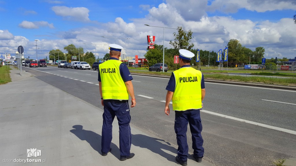 Wielkie uderzenie w złodziei aut
