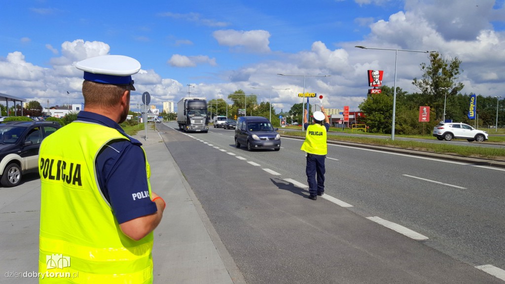 Wielkie uderzenie w złodziei aut