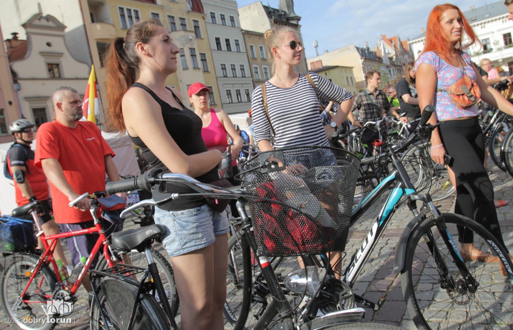 Setki rowerów na ulicach Torunia