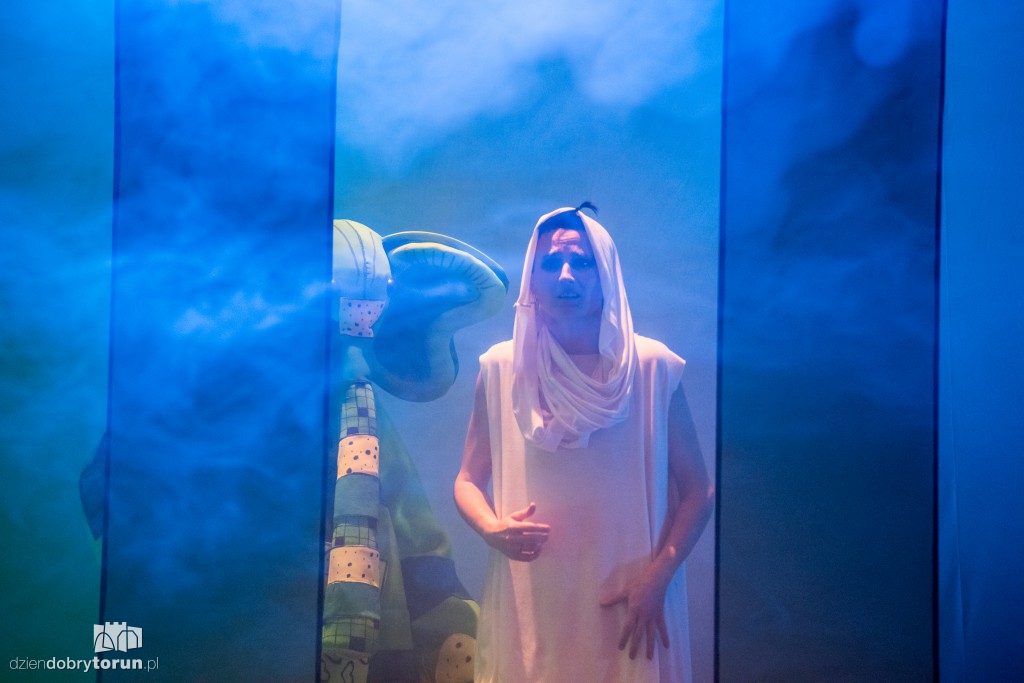 Aya znaczy miłość - premiera