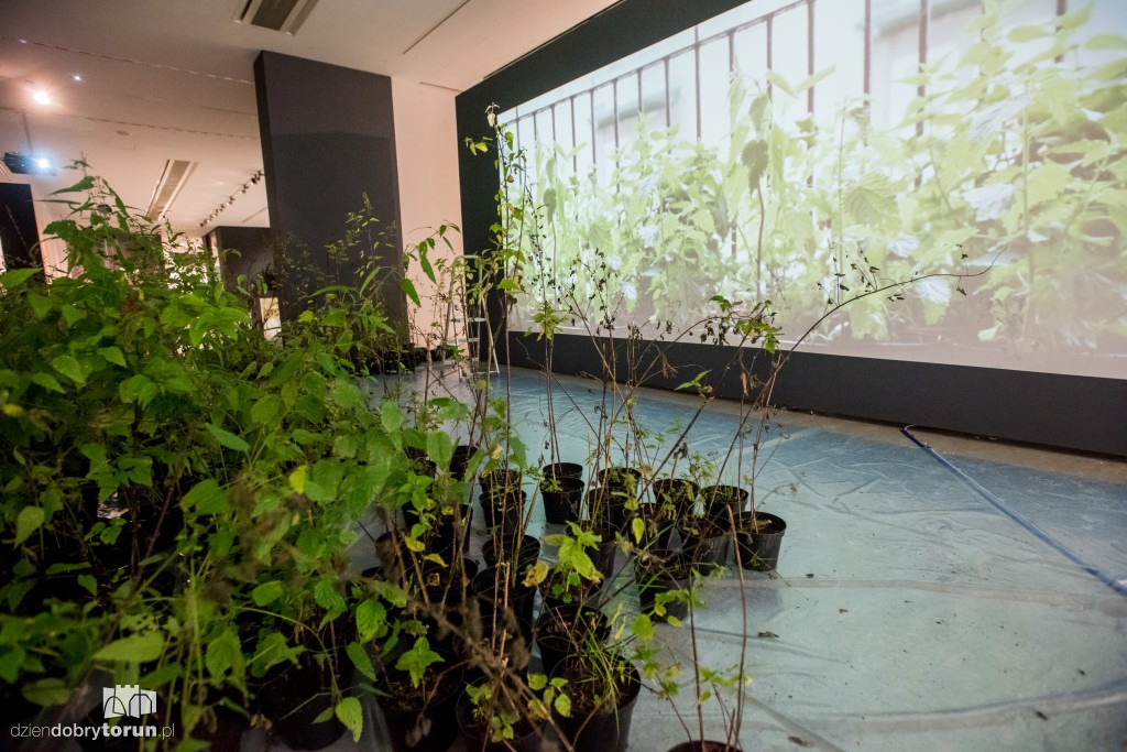 Nowa wystawa w CSW: Kości wszystkich...