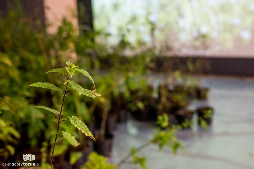 Nowa wystawa w CSW: Kości wszystkich...