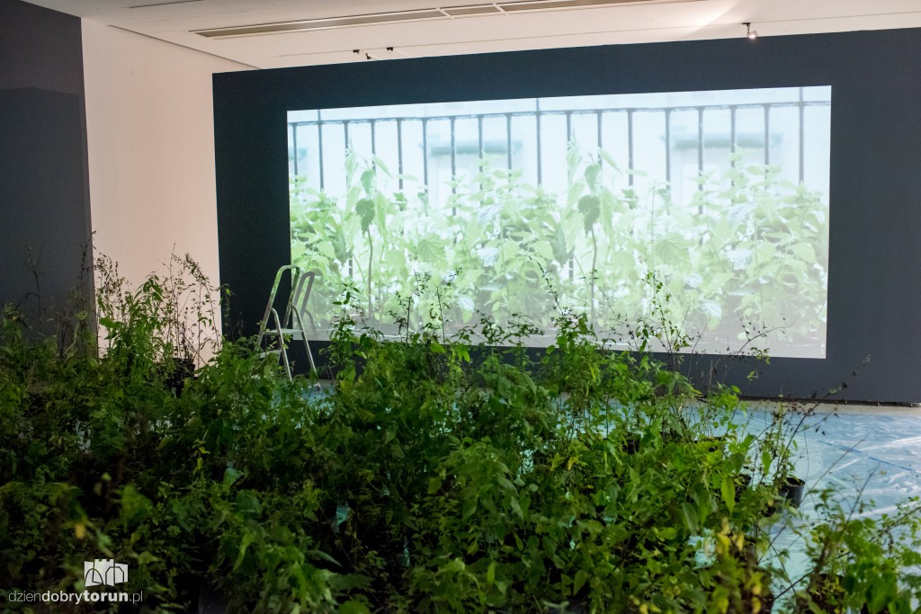 Nowa wystawa w CSW: Kości wszystkich...