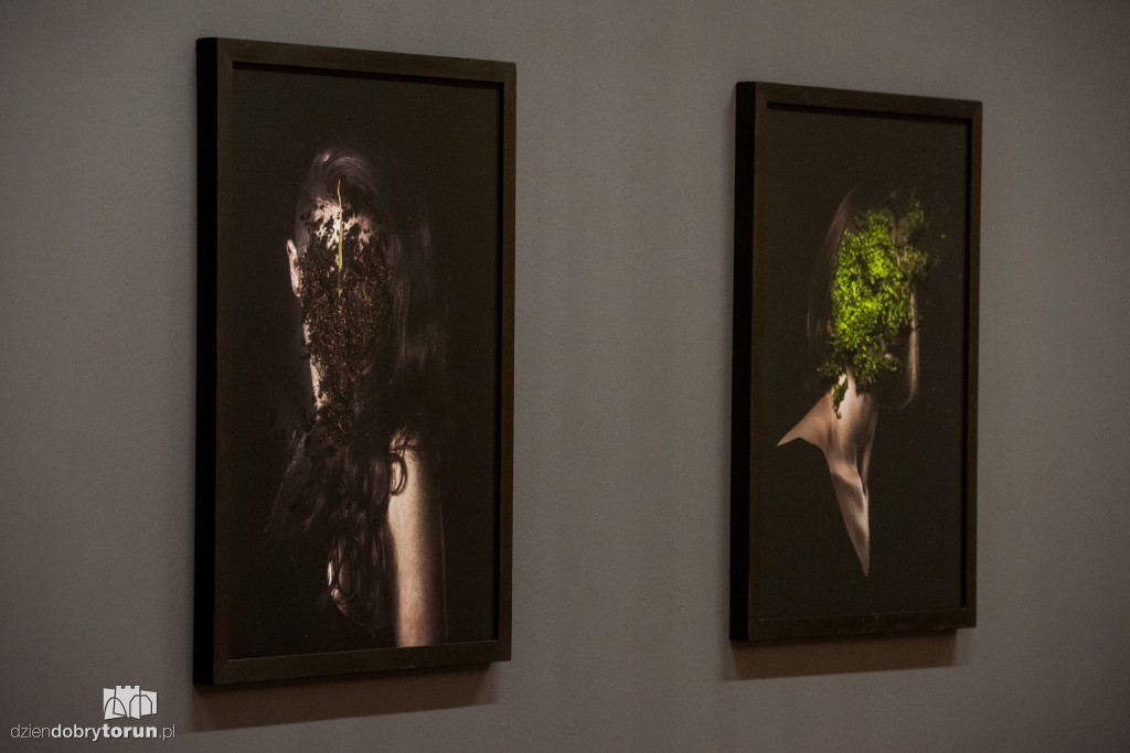 Nowa wystawa w CSW: Kości wszystkich...