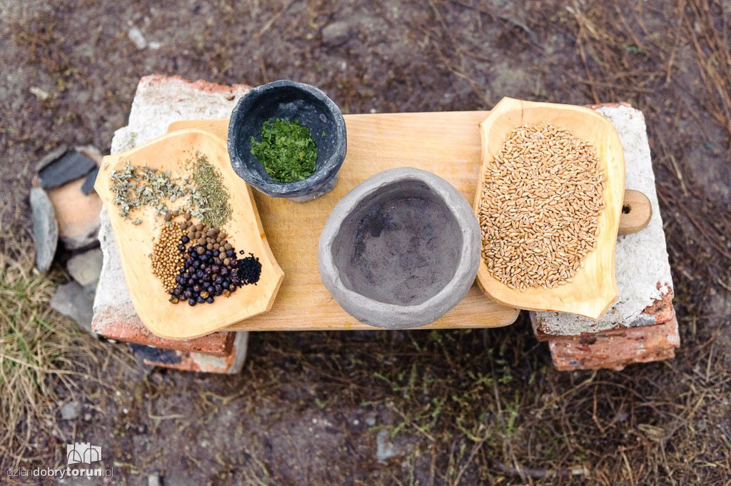 Europejska Noc Naukowców w Toruniu