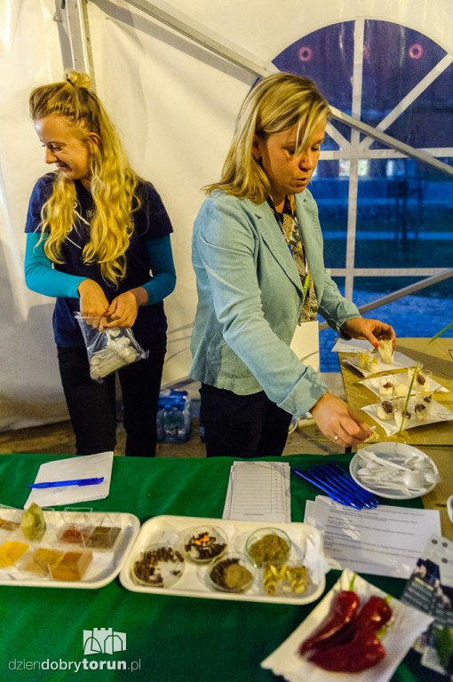 Europejska Noc Naukowców w Toruniu