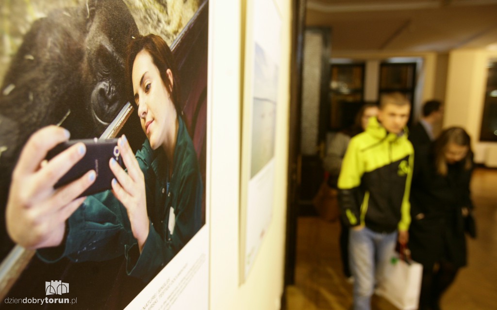 Wystawa BZ WBK Press Foto 2016