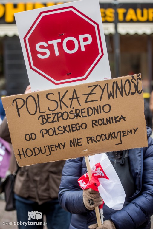 Torunianie przeciw CETA i TTIP